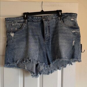 KUT Distressed Denim Women Shorts